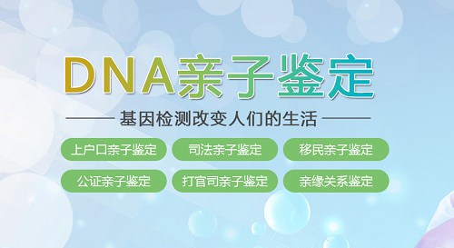 办理亲子鉴定是怎样的流程？