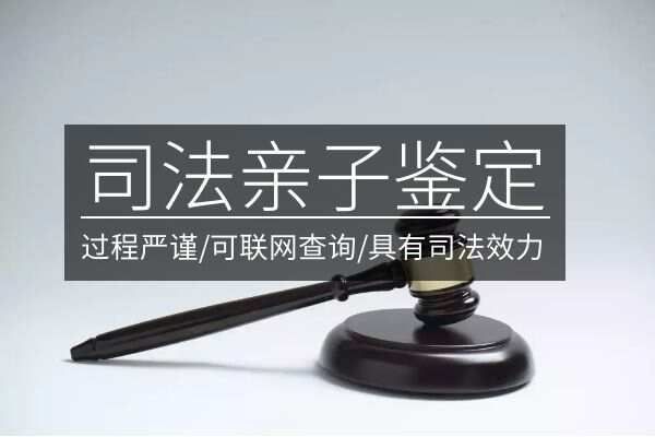 做司法亲子鉴定需要准备哪些材料