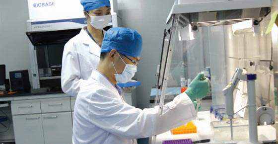 贵阳三大类亲子鉴定的鉴定流程