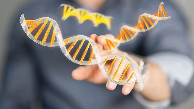 基因突变的小孩会有怎样的特征(基因突变的表现)