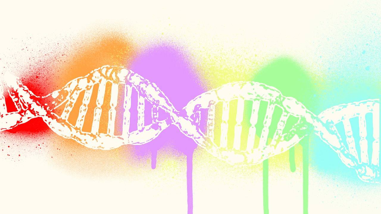 基因突变的三种类型对生物性状的影响有多大