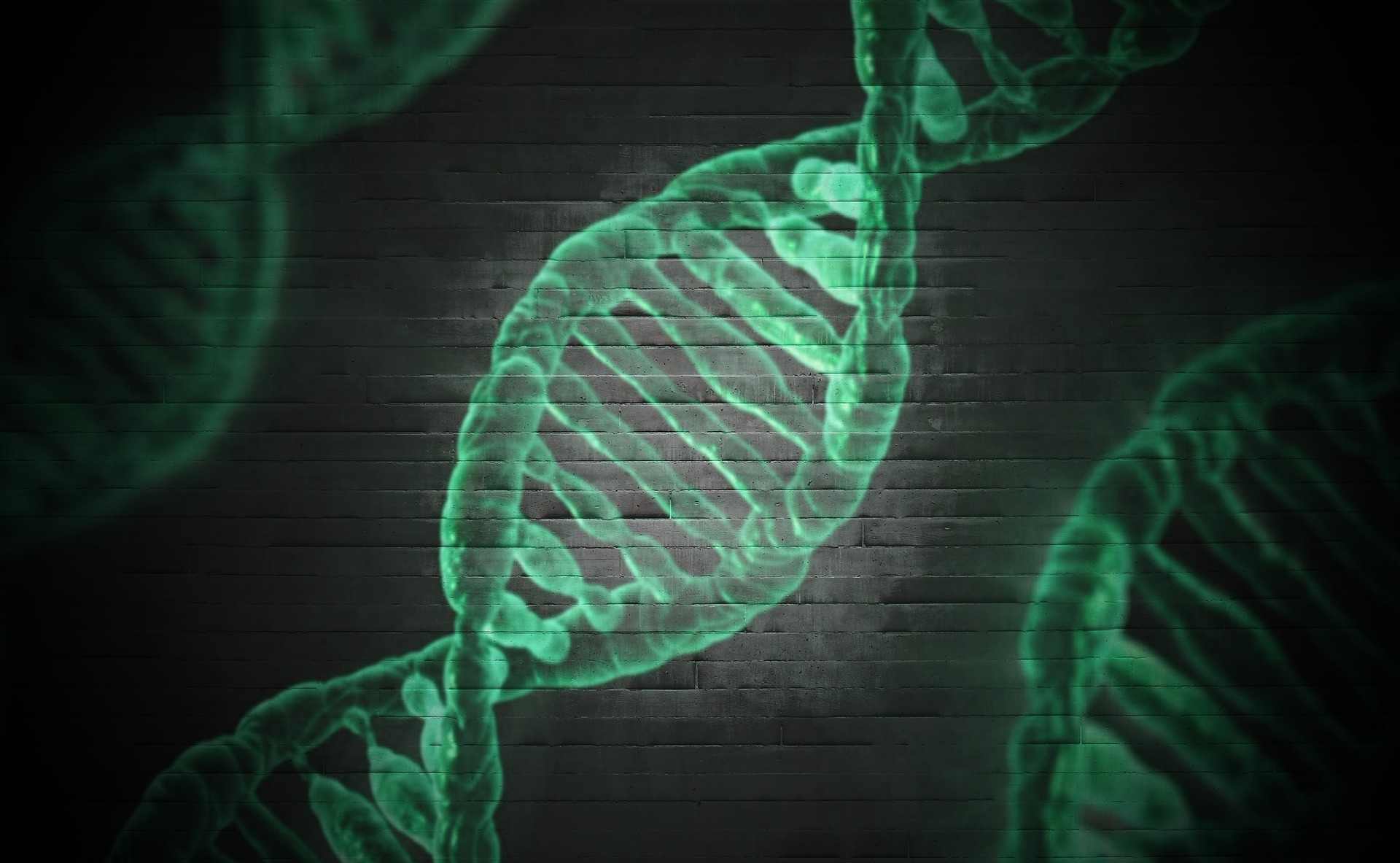 线粒体肌病伴铁粒体幼细胞性贫血1型的基因检查需要准备哪些证明