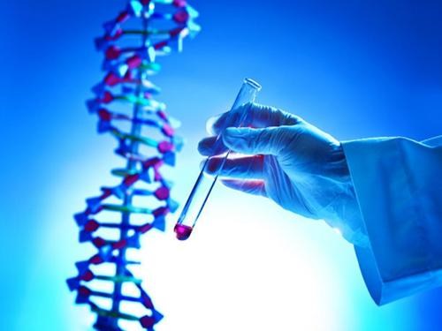 如何解读成骨不全11基因检查报告（检查时间）