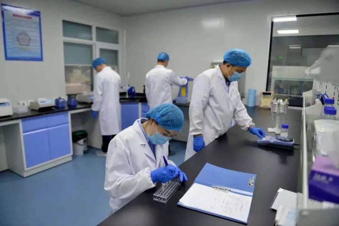 有亲子鉴定上户口还需什么材料