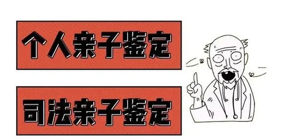 我家孩子20多岁想留学美国，怎么做亲子鉴定? 