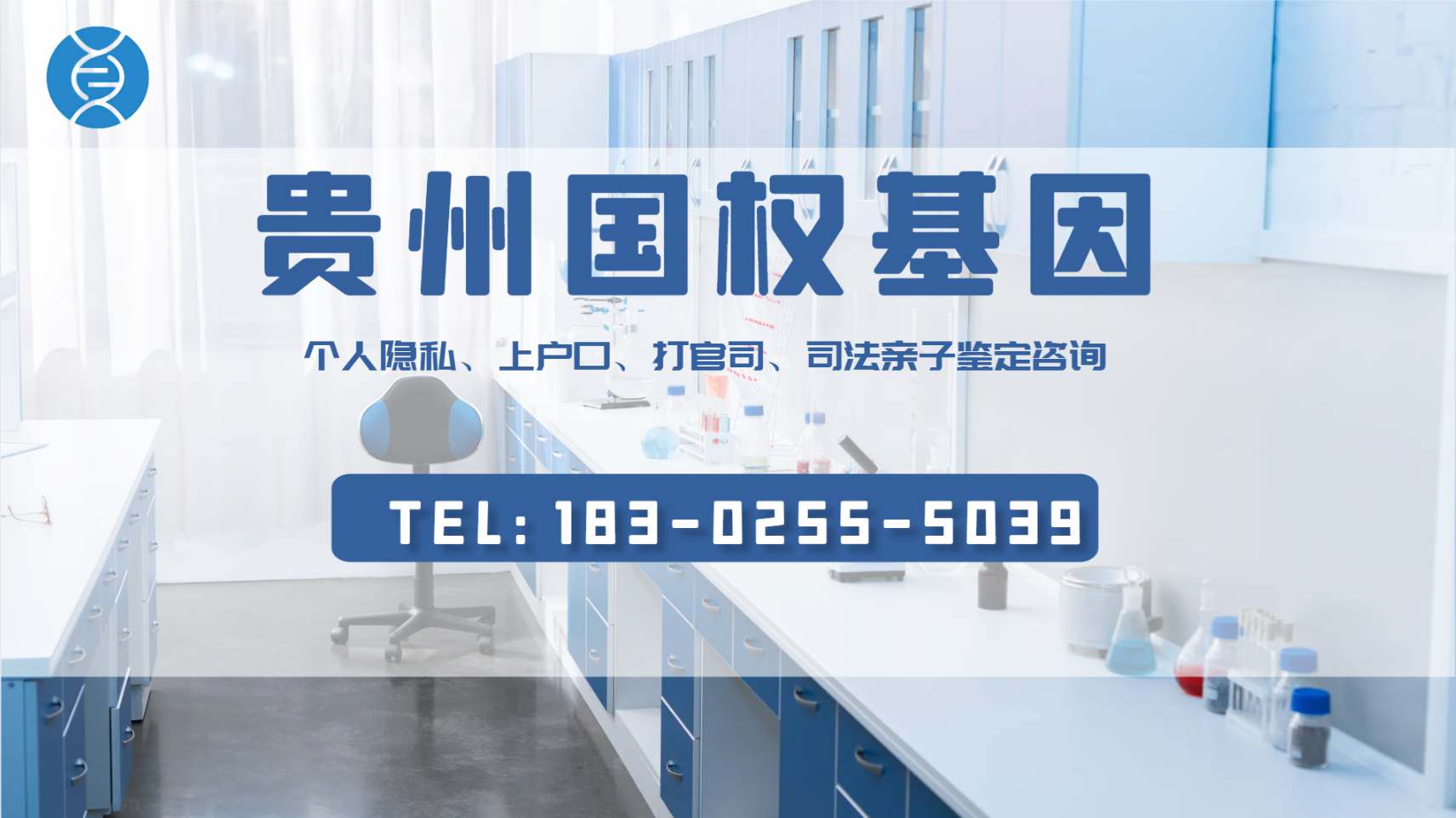 在贵阳dna提取与鉴定的实验报告（dna提取与鉴定实验步骤）