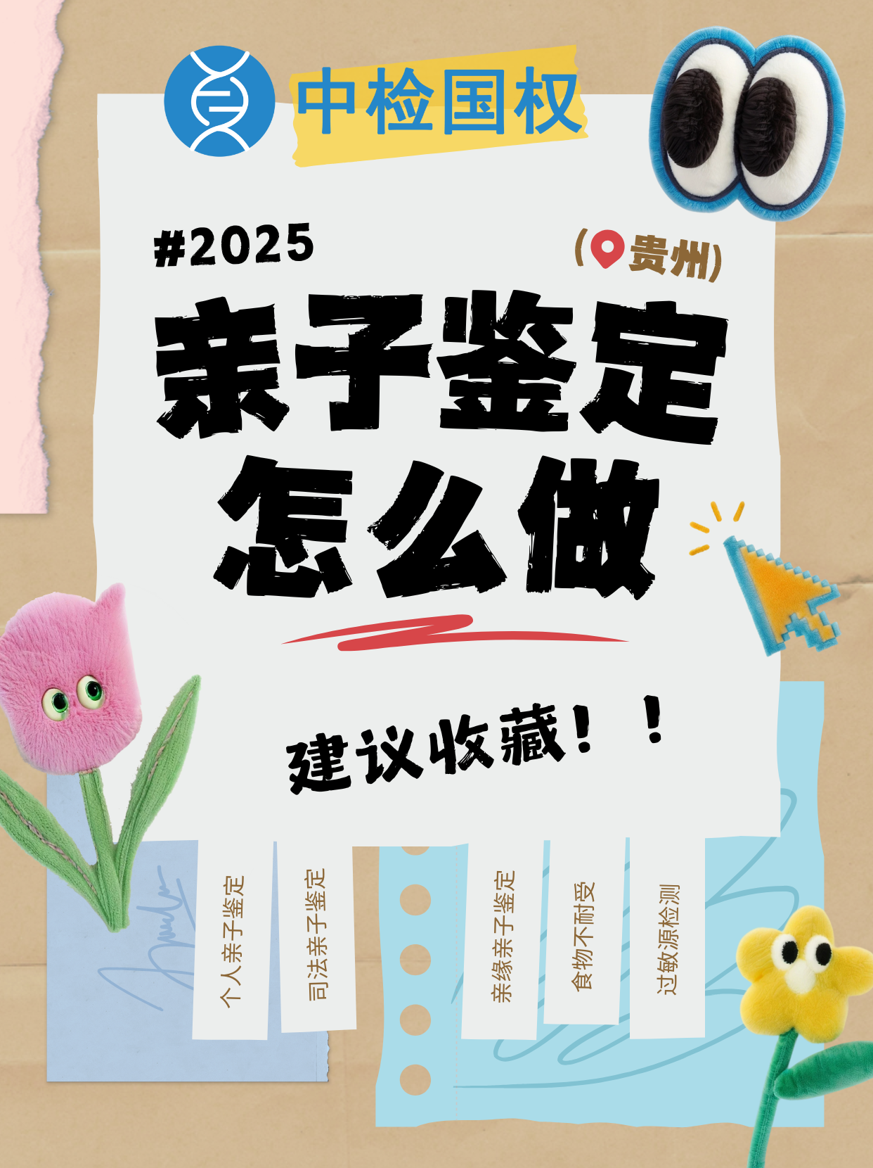 dna亲子鉴定的实验步骤包括什么（dna重组技术包括哪些基本步骤）