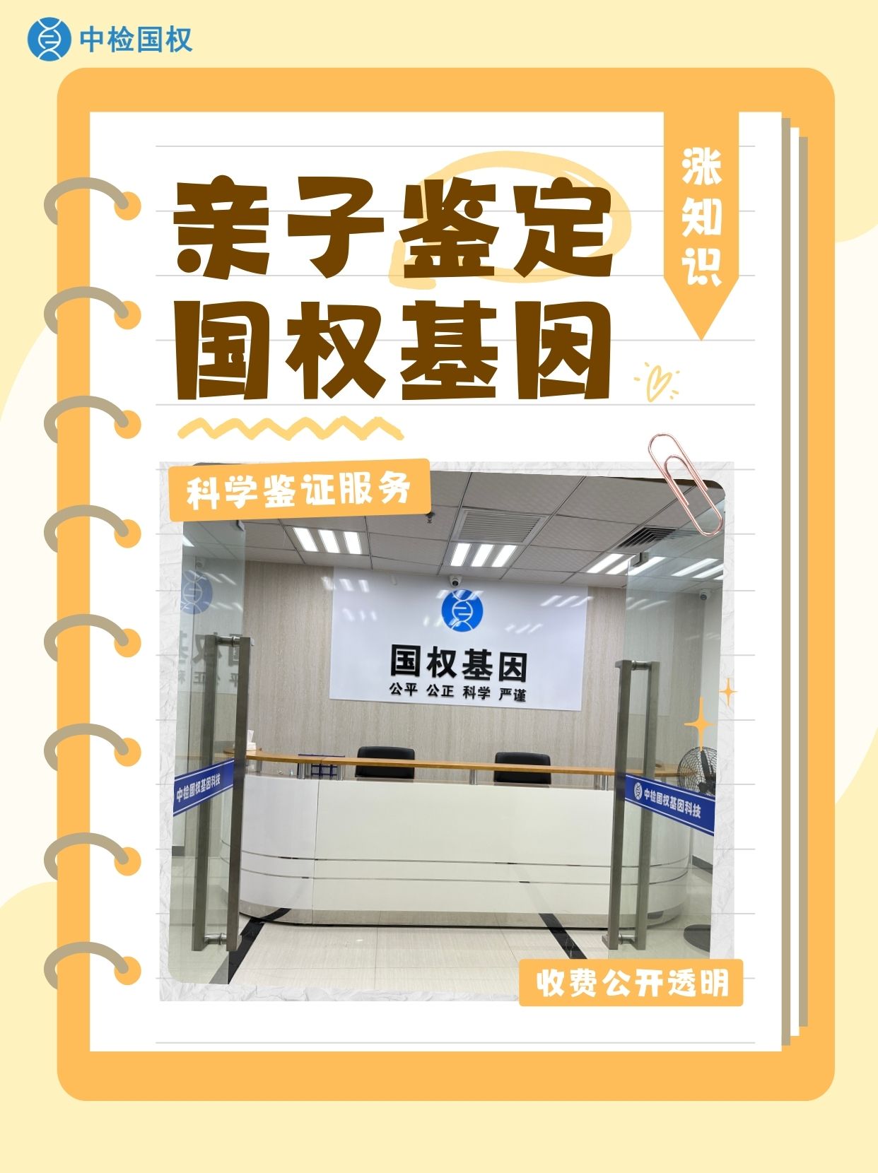 dna的提取分离鉴定方法  