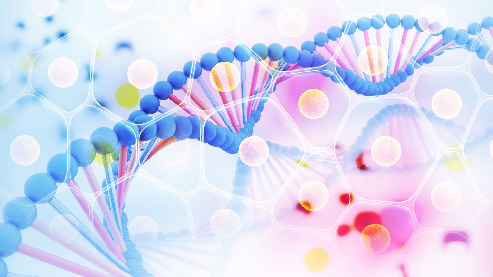 贵阳10个正规司法亲子鉴定机构名单一览(附2025年鉴定汇总)