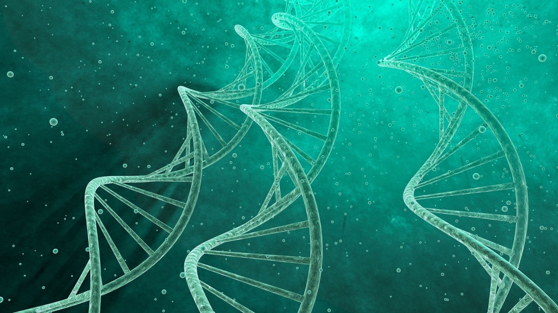 贵阳5家可以做亲子鉴定的医院名单（附26年鉴定机构地址）