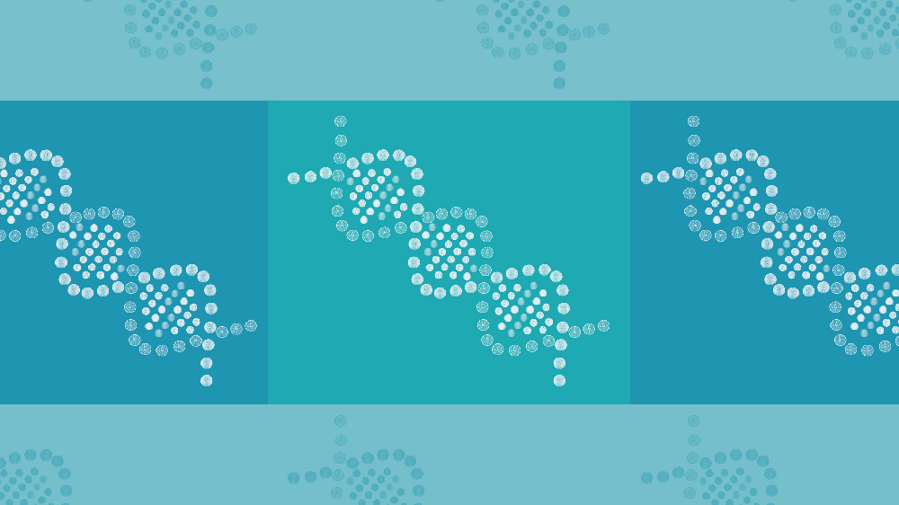 跨越代际的确认：祖父母参与鉴定的场景与价值