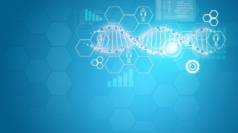 亲子鉴定报告的法律语言：如何理解“支持”、“排除”与“无法得出结论”