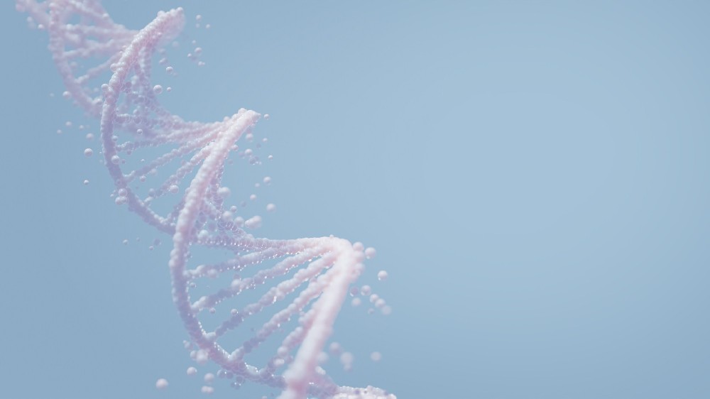 当父母是近亲：亲子鉴定中的特殊计算与告知义务