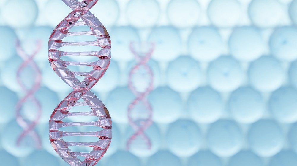 解读不同STR检测试剂盒：位点组合、人群适配性与选择考量