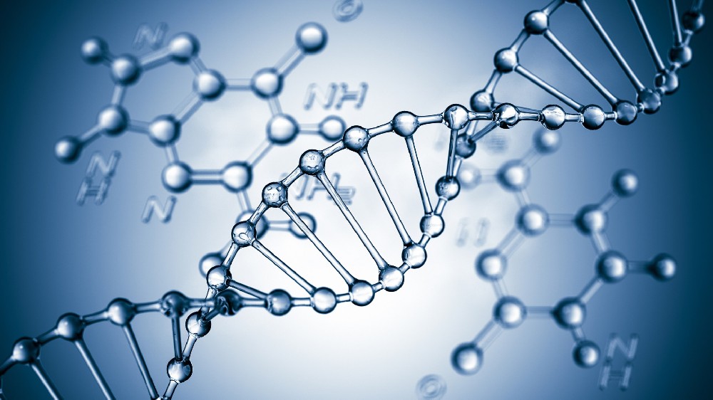 从样本到报告的零误差追求：窥探权威DNA鉴定实验室的严密内控