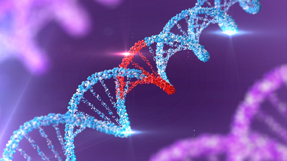 微观世界里的精密操作：揭秘DNA样本在实验室的标准化旅程