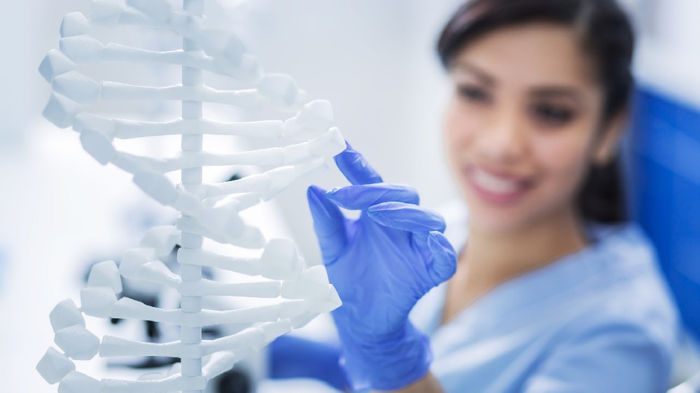 本构成细目：解析一份亲子鉴定费用的价值所在