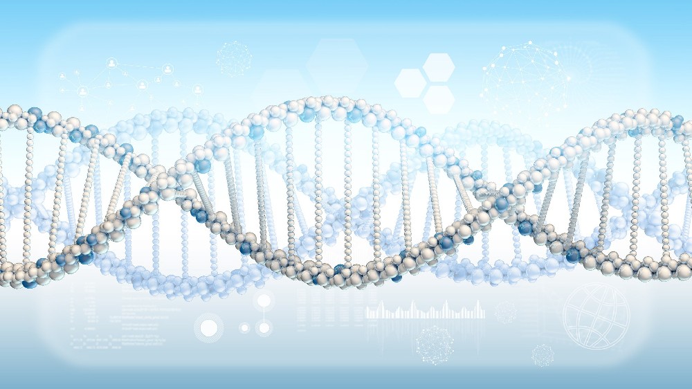 被蒙蔽的安宁：探讨亲子关系真相的“不知情”是否也是一种权利？