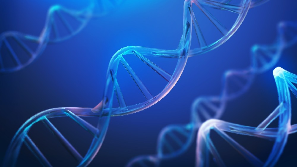 生命尽头的追问：亲子鉴定在遗产继承中的法律博弈