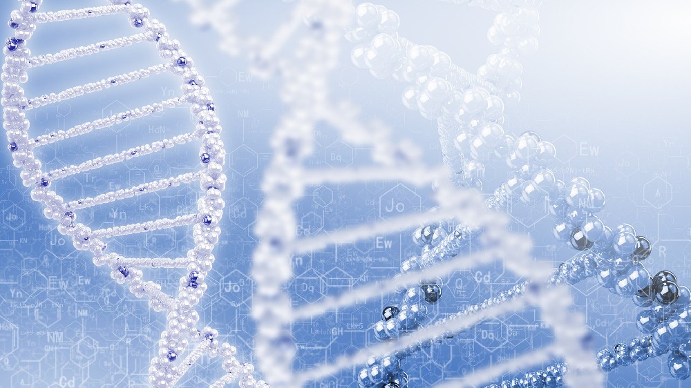 证明不了的亲情：亲子鉴定中的“不可能”与法律推定