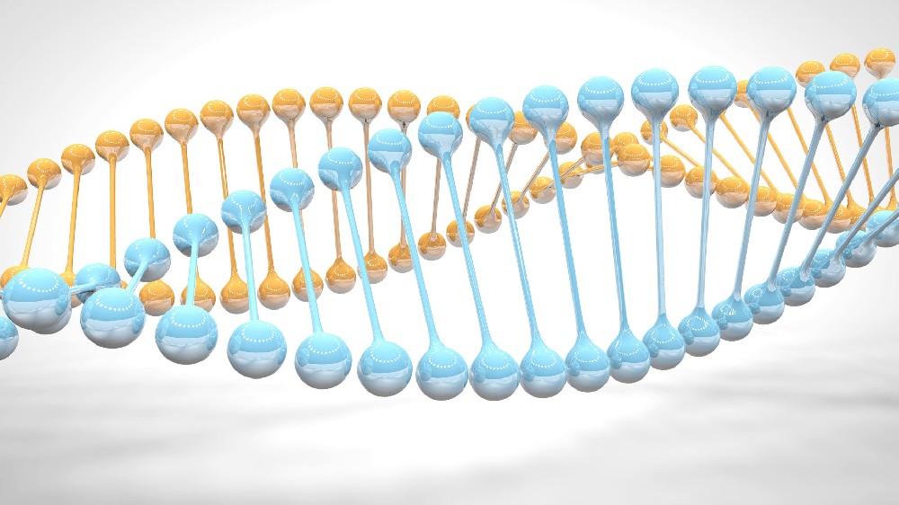 科技的未来：从亲子鉴定到个人基因信息的全面管理