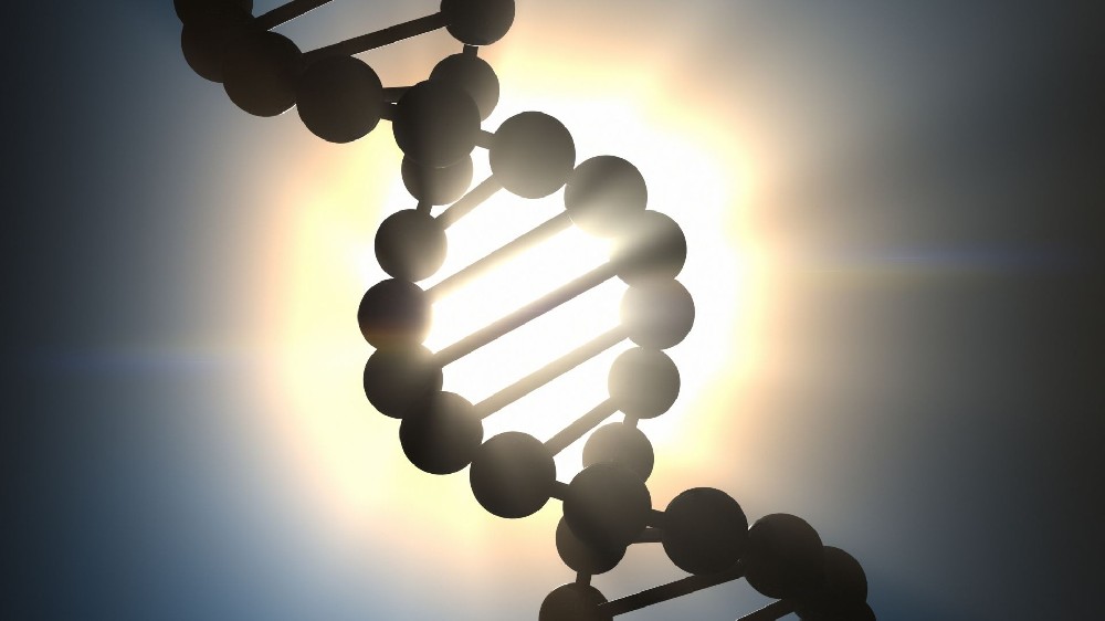 解密亲子鉴定技术原理：DNA如何判定血缘关系？