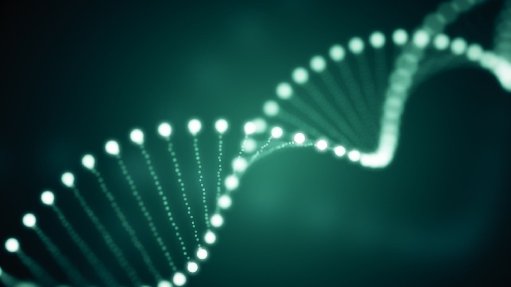 亲子鉴定技术原理通俗解读：基因如何“证明”血缘？