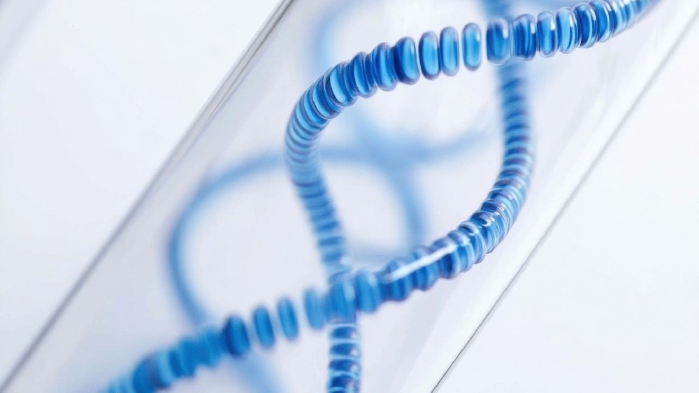 DNA亲子鉴定原理揭秘：科学如何判定血缘归属