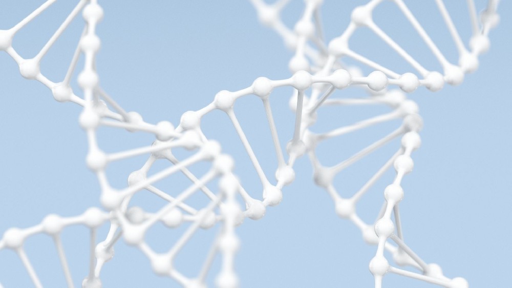DNA亲子鉴定：拆解血缘判定的科学原理