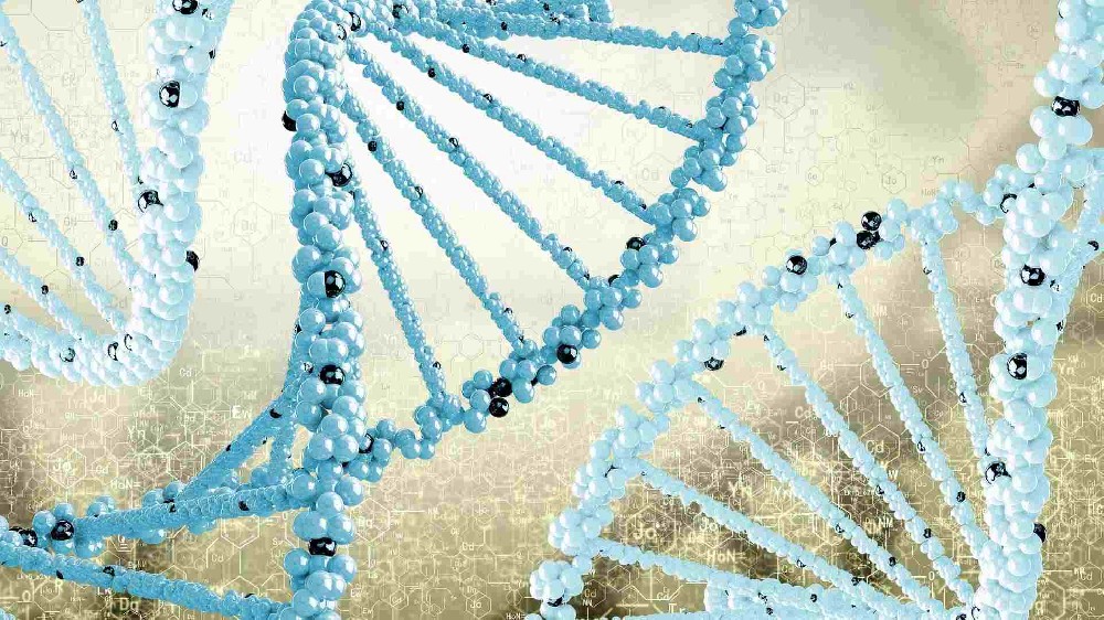 DNA亲子鉴定技术原理：揭秘亲缘关系的科学密码