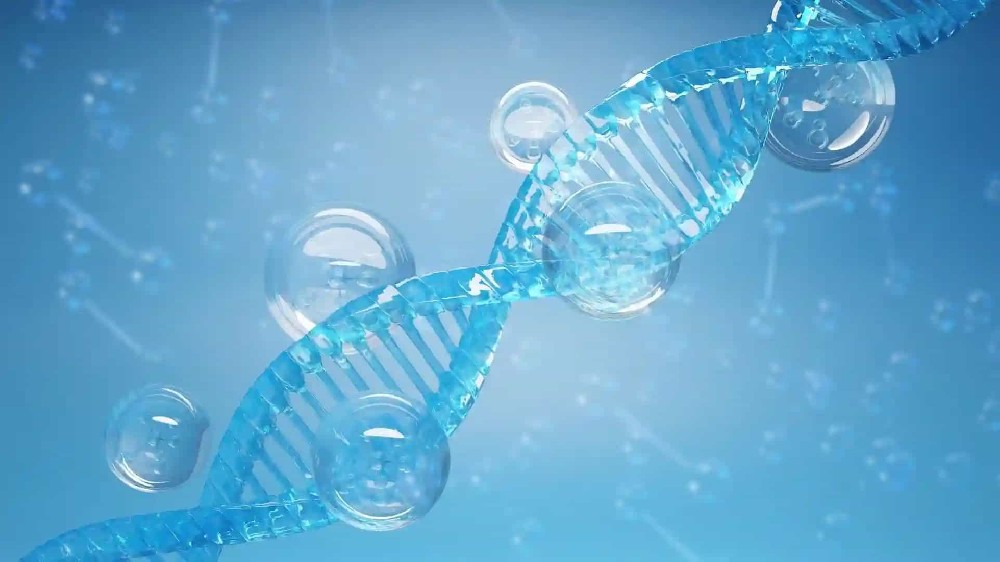 贵州亲子鉴定科普，胎儿亲子鉴定大全