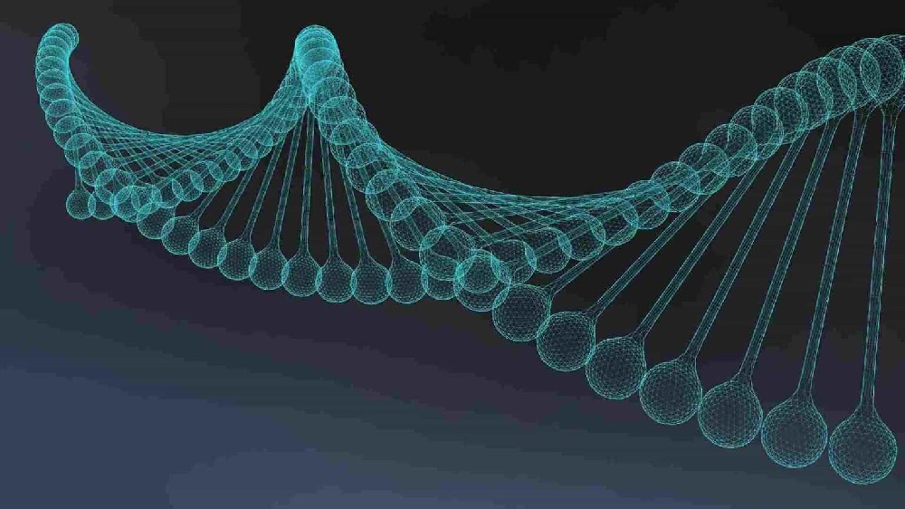 贵州户籍改名必看！科普亲子 DNA 鉴定采样要点