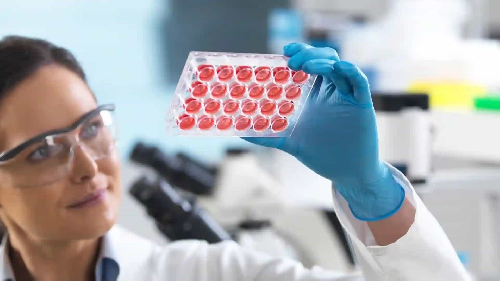 父母子亲子鉴定检测周期全解析：流程、时效与注意事项