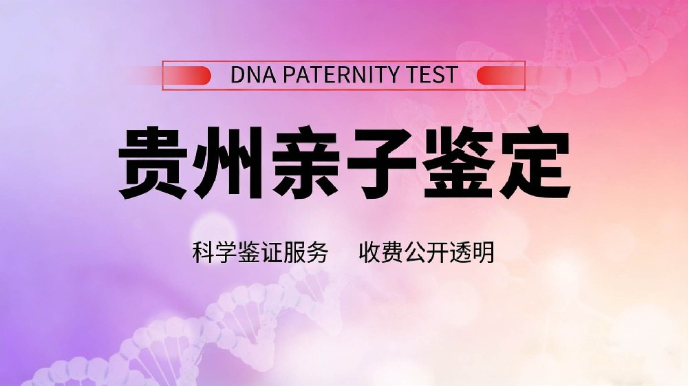 司法亲子鉴定怎么办理？一文看懂全流程与办理要求