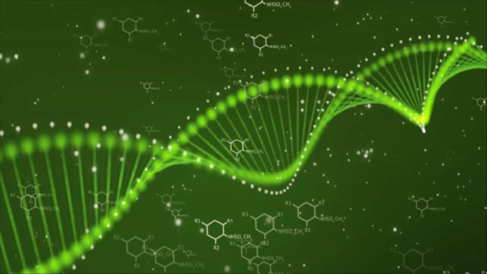 拆解亲子鉴定技术原理：从基因到结果，读懂科学辨亲逻辑