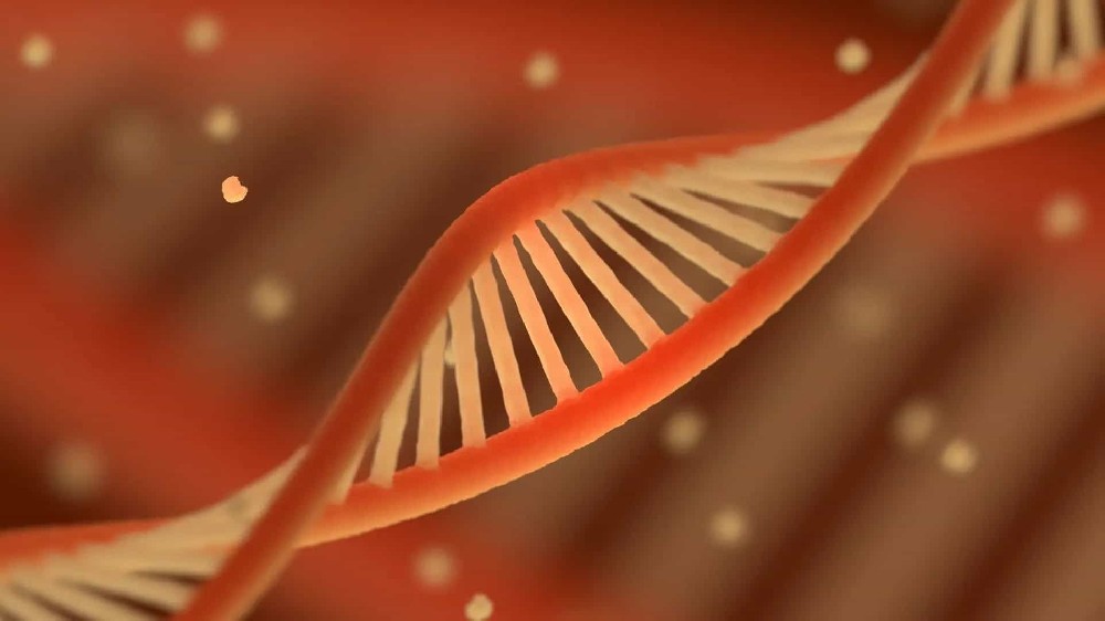 亲子鉴定中的亲权关系，读懂判定标准与核心逻辑