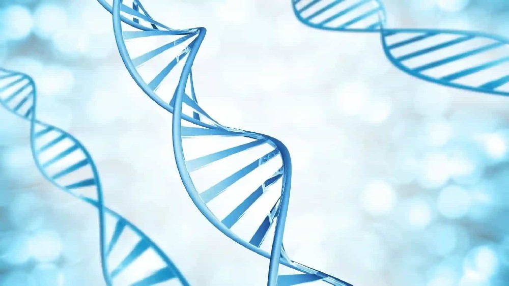 贵阳亲子鉴定报告丢了怎么办？