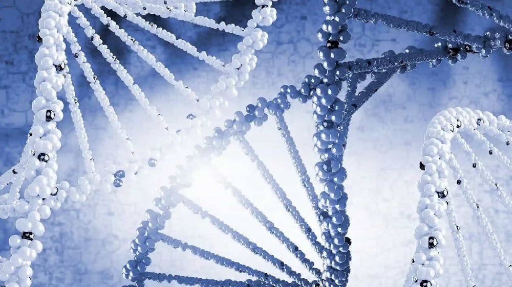 亲子鉴定样本保存指南，避免检测失败