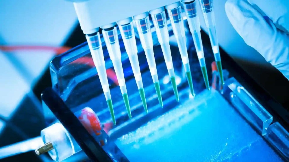 亲子鉴定能测性别吗？厘清真相与法律红线