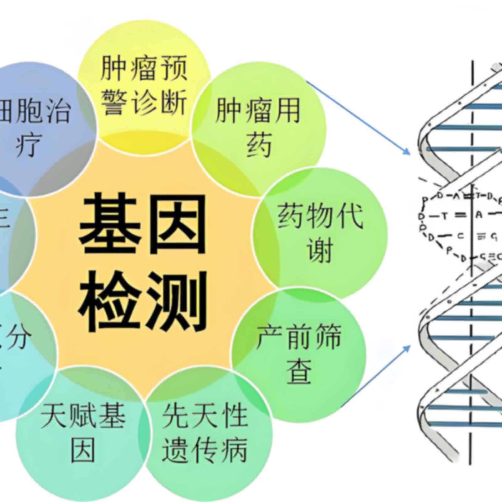 贵阳第一人民医院亲子鉴定价格是多少