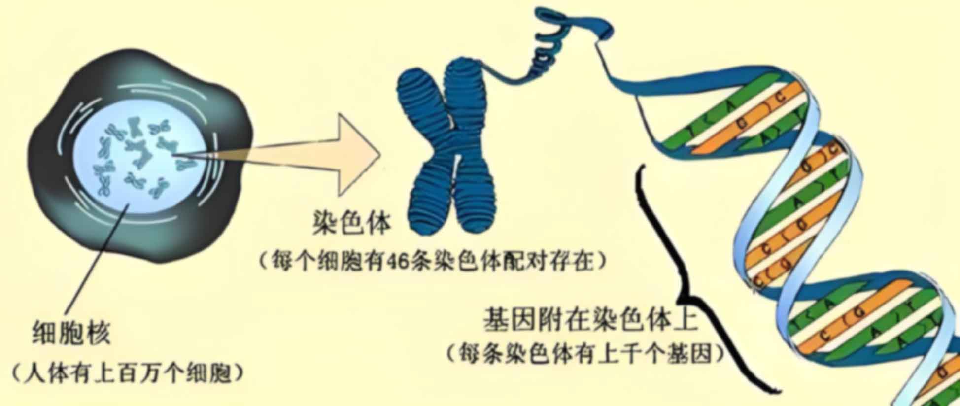 贵阳第一人民医院个人隐私亲子鉴定偷偷办理怎么做